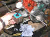 13th June 2009 055.JPG (122613 bytes)